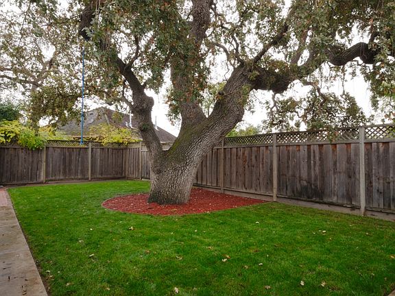 Side Yard