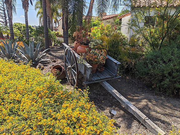 Front yard detail