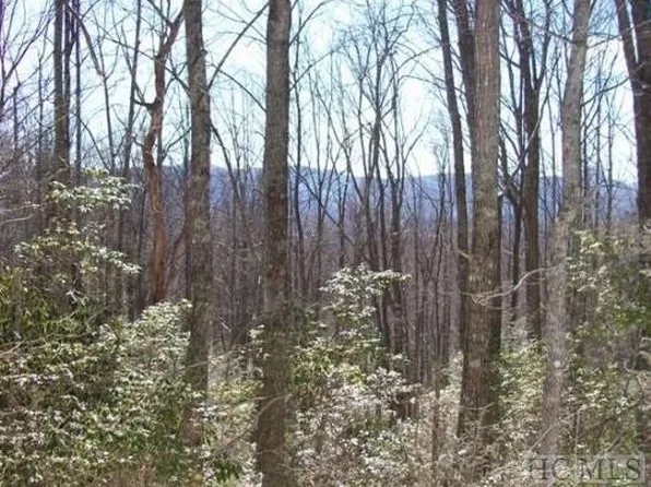 122 Black Oak Dr Unit 6, Sapphire, NC 28774