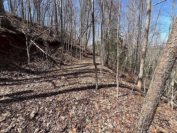 5th image of Brer Fox Ridge Rd