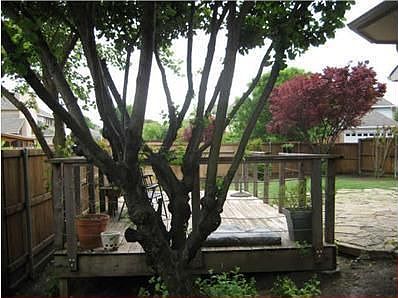 5th image of 10805 Alexandria Dr