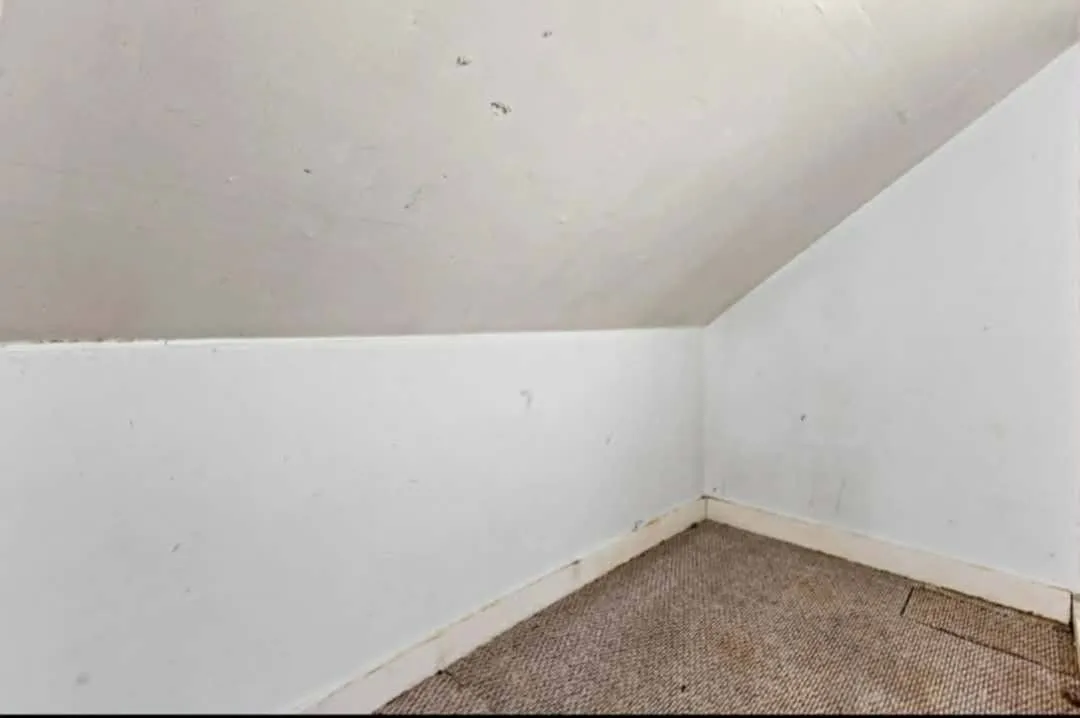 3 bed, 1000 sqft, $1,200 — Photo 3