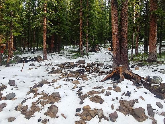 3rd image of 879 Silverheels Pl
