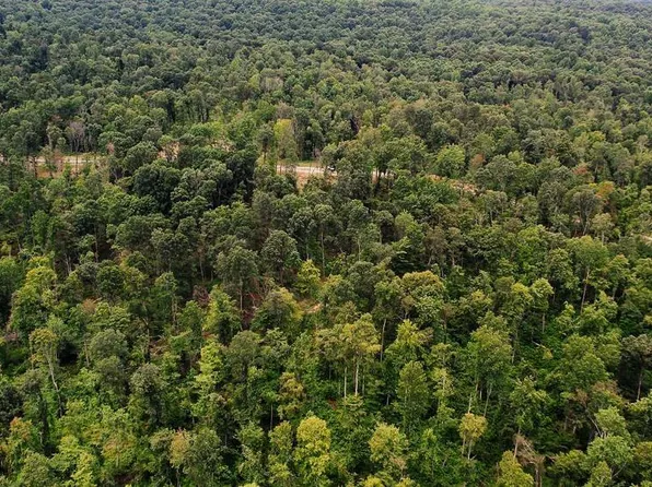 TRACT 12 Cook Ln, Cromwell, KY 42333