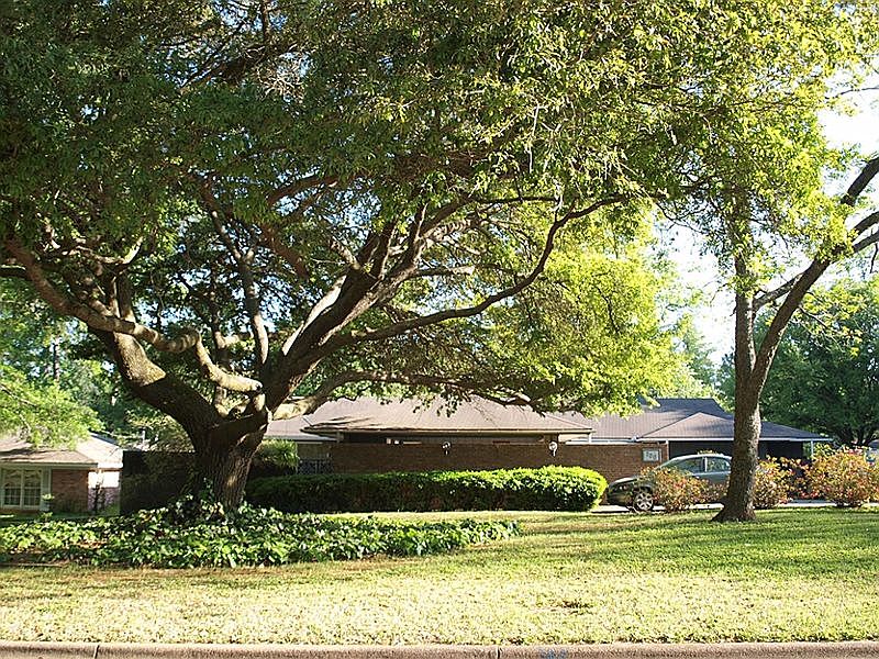 2nd image of 700 Northwood Cir