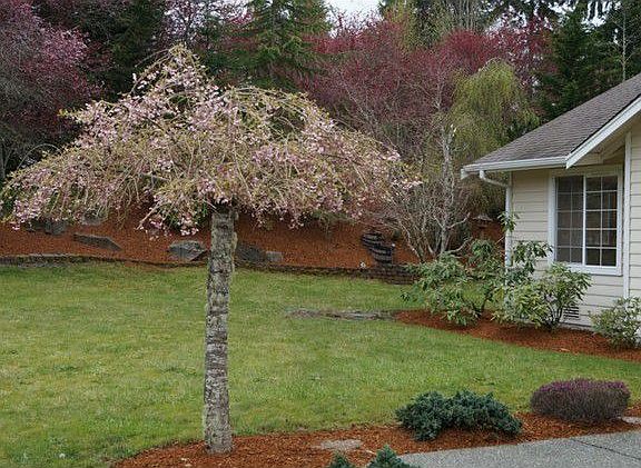 2nd image of 25755 Norval Ln NW