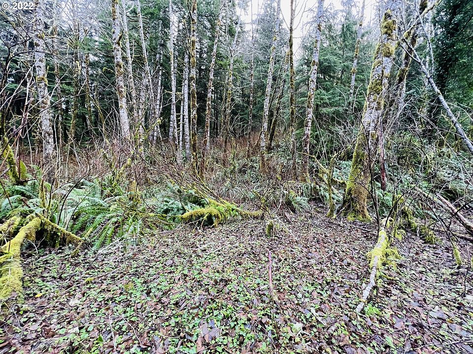21550 E Beaver Creek Rd, Cloverdale, OR 97112 MLS 22043550 Zillow