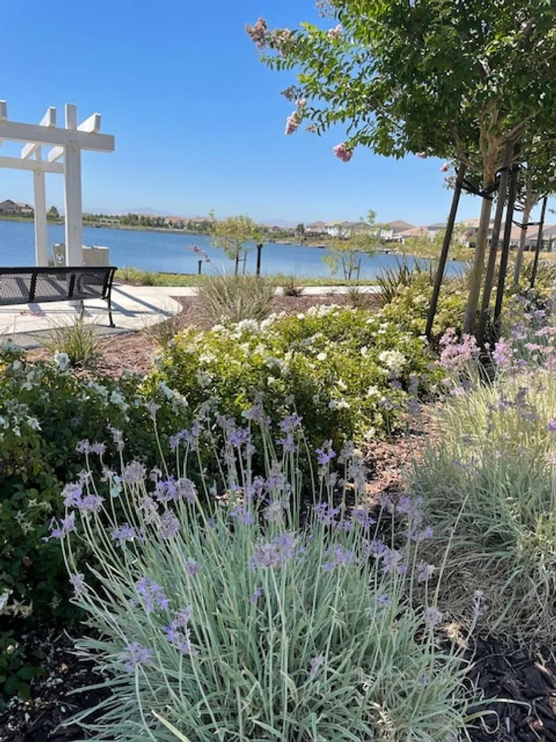 Coming Soon! Beautiful River Islands Townhome — Photo 3