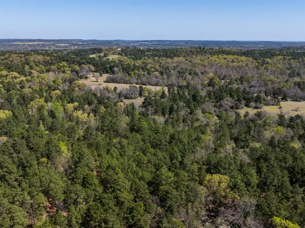 0 County Road 478, Larue, TX 75770