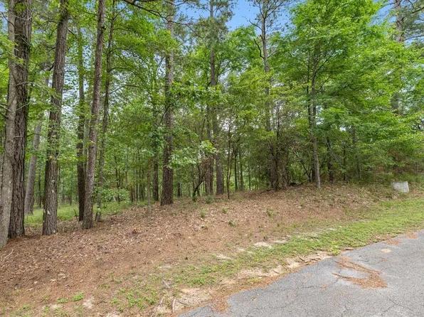 79 S Fairway Loop, Coldspring, TX 77331