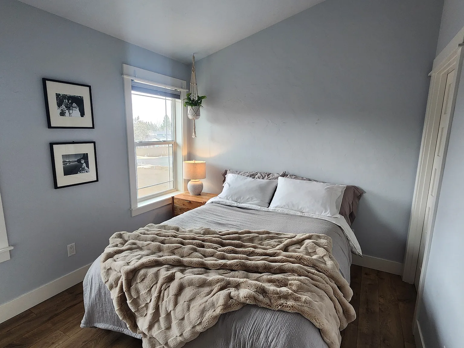 1 bed, 650 sqft, $1,600 — Photo 3