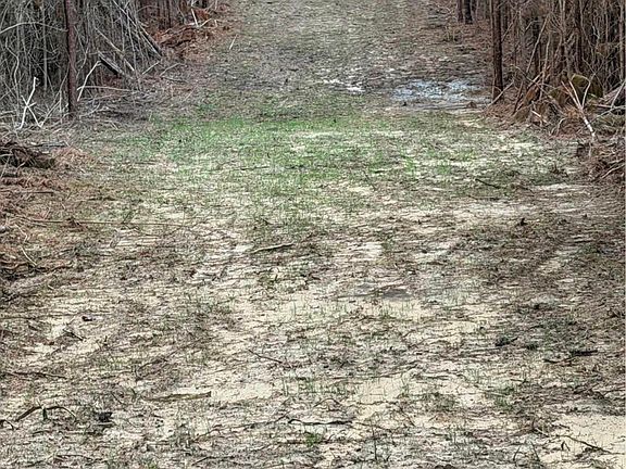 5th image of County Road 865
