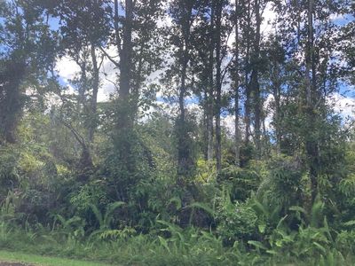 Alapai St Lot 48, Pahoa, HI, 96778