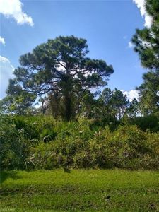 3117 Pickett St #28, Pt Charlotte, FL, 33981