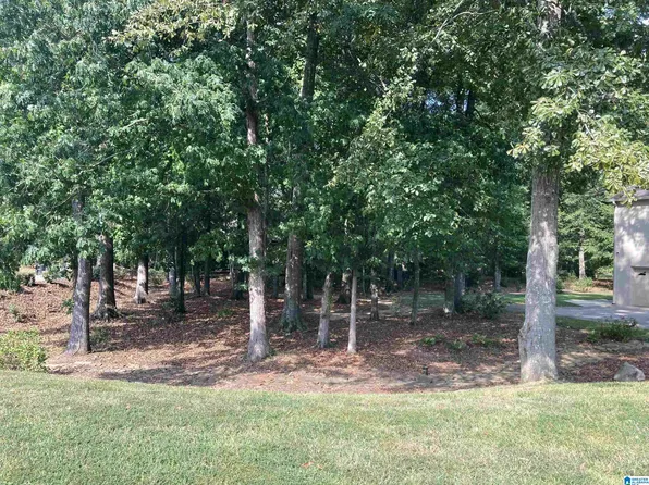 9845 Deerview Ln #37, Kimberly, AL 35091