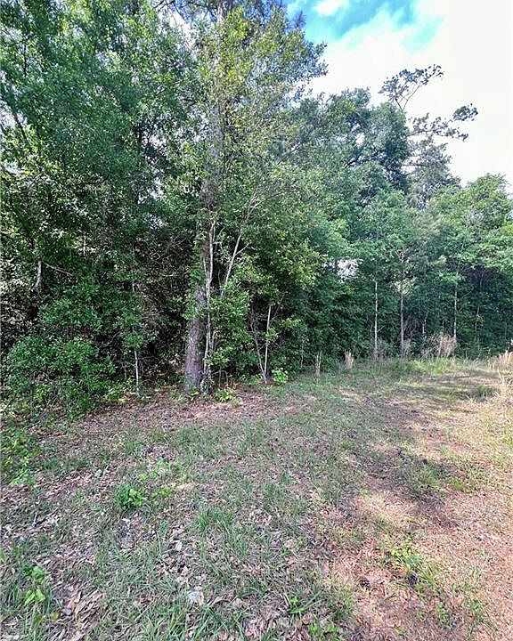2nd image of 824 Pine Ridge Rd