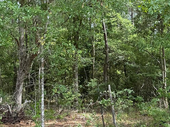2nd image of State Highway 1147