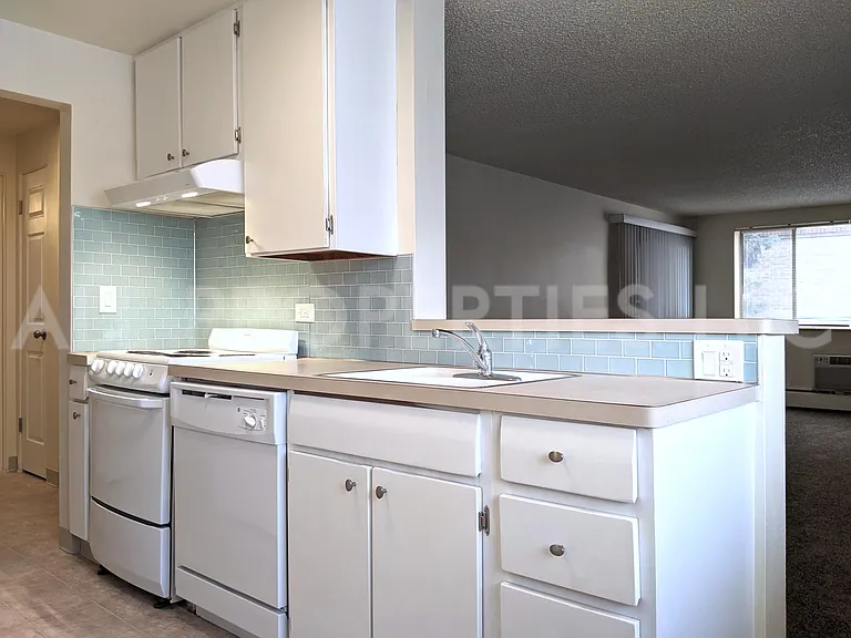 1200 N Emerson St #204 — Photo 9