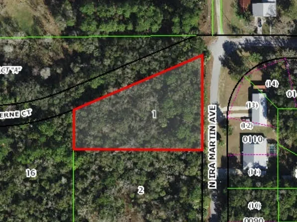 8974 N Ira Martin Ave, Crystal River, FL 34428