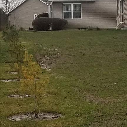 2nd image of 19 Danbury Ct