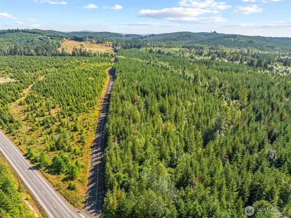 0 NKA Finkas Road, Toutle, WA 98649