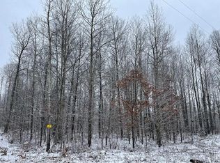 40 Tribe Lake Rd, Hersey, MI 49639