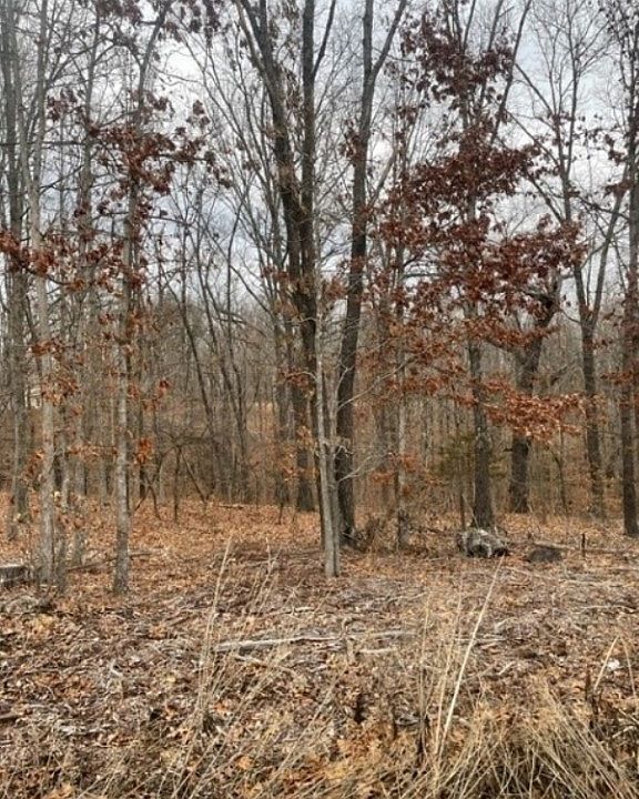 1st image of Tummell Dr #3