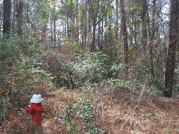 4th image of 512 Laurel Breeze Dr