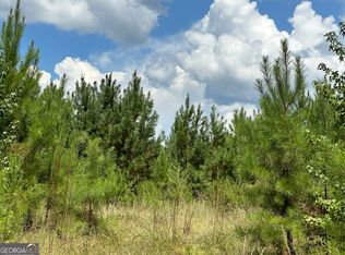 PARCEL 1 Tuck Persons Hwy, Waverly Hall, GA 31831