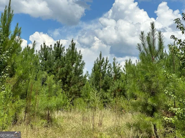 PARCEL 1 Tuck Persons Hwy, Waverly Hall, GA 31831
