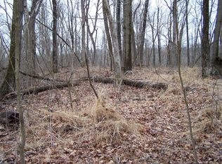 Azotus Church Rd, Brookport, IL 62910