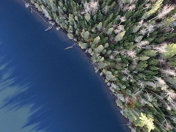 4th image of XXXX Gunflint Tr