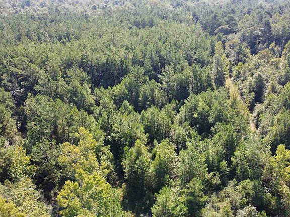 3rd image of 4621 County Road 434