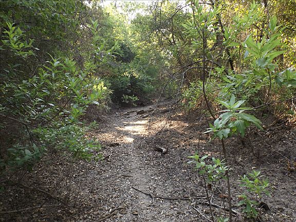 5th image of 1547 Private Road 860