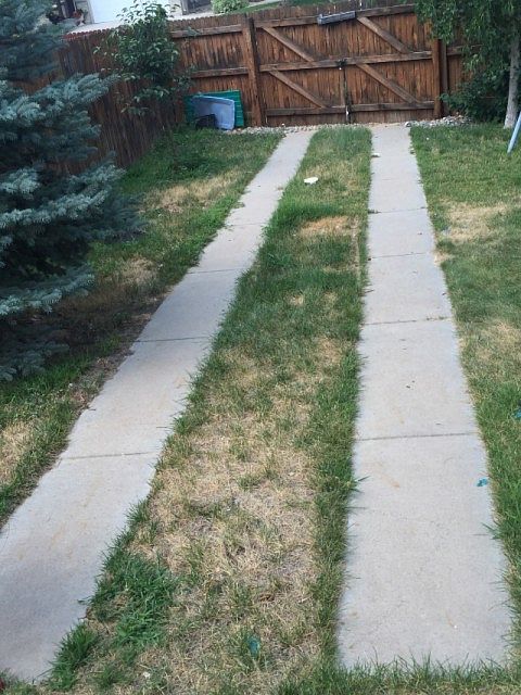 2nd image of 15199 E 50th Way