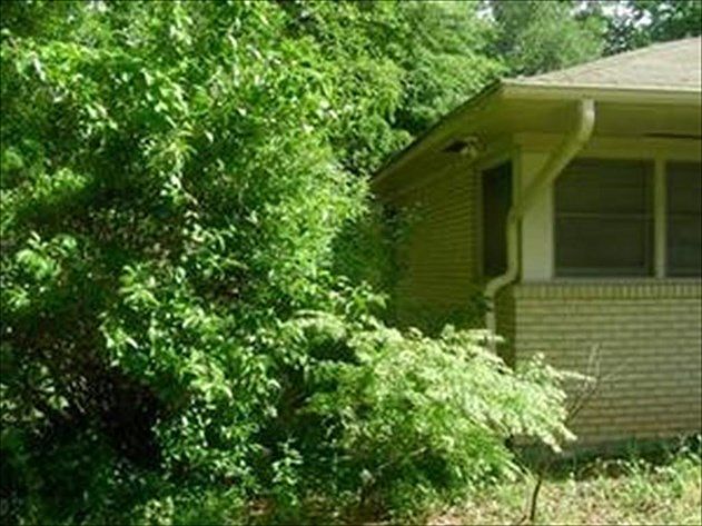 2nd image of 315 Tanglewood Dr