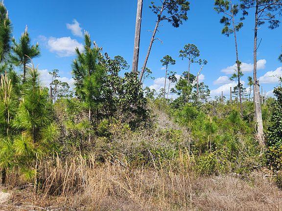 4th image of 2727 Sting Ray Rd