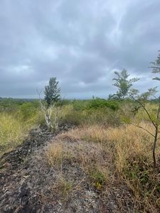 Walaka Dr, Ocean View, HI, 96737