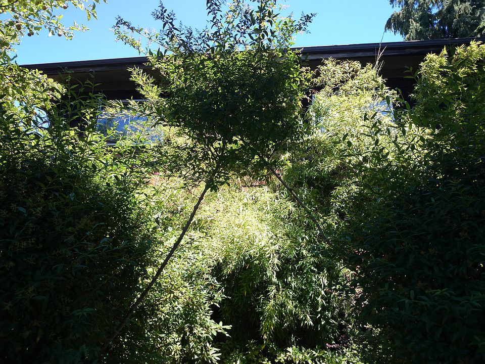 1st image of 2812 Harvard Ave E