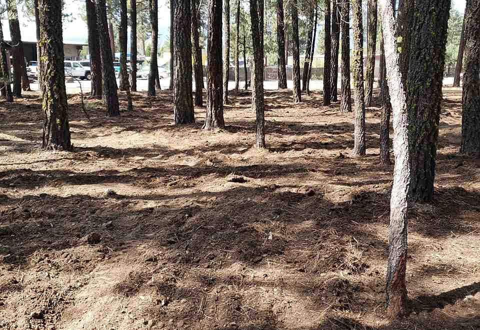 2nd image of 300 Willhoite Rd
