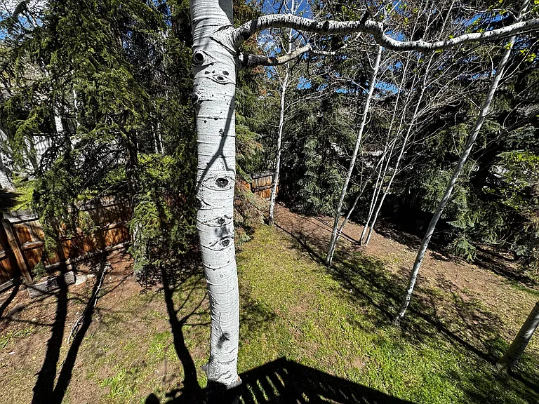 864 Spruce Ct #A — Photo 26
