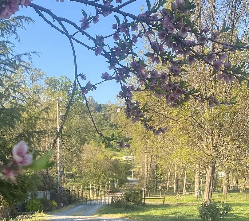 Bell Brook Dr