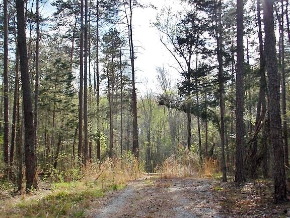 2nd image of 3110 N Nc Highway 119