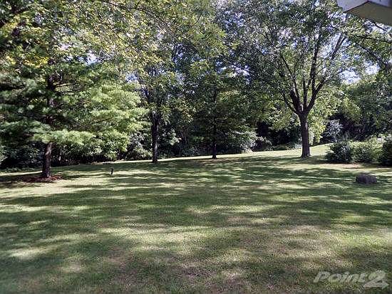 Park-like Back Yard