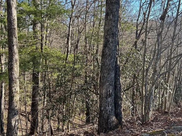 210 Thistlewynd Trl, Laurel Park, NC 28739