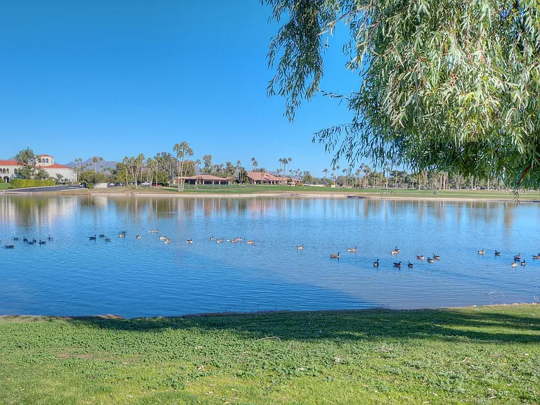 Window View