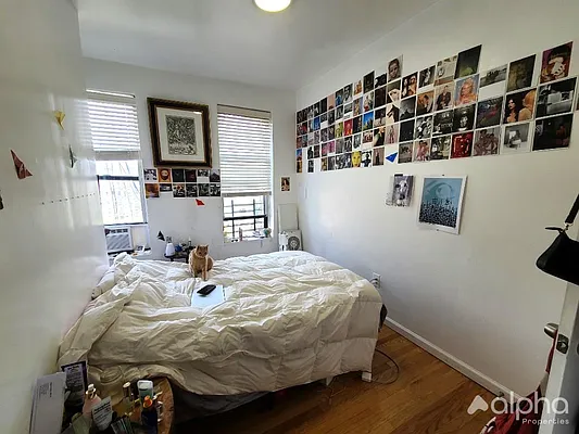 Rented by Alpha Properties NYC I LLC | media 2