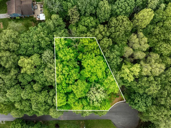 Victor Dr, Johnson City, TN 37601