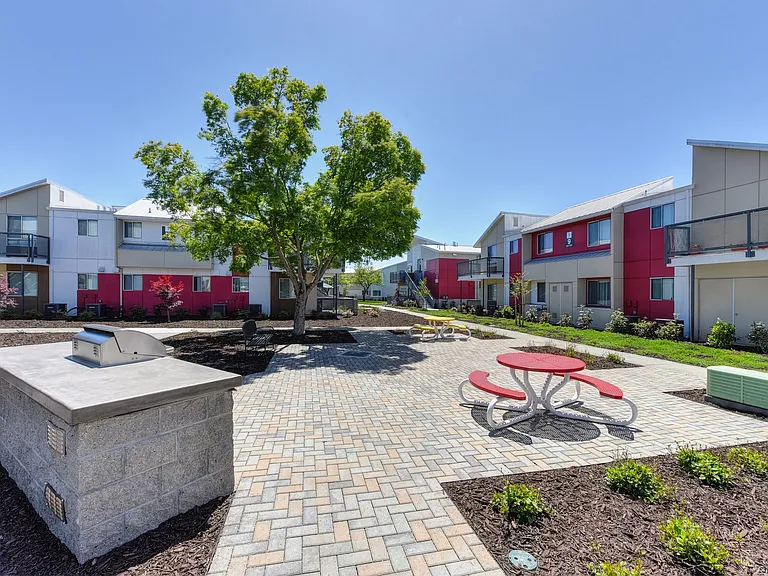 Outdoor BBQ and Picnic Area