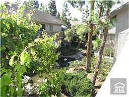 1st image of 449 Orange Blossom